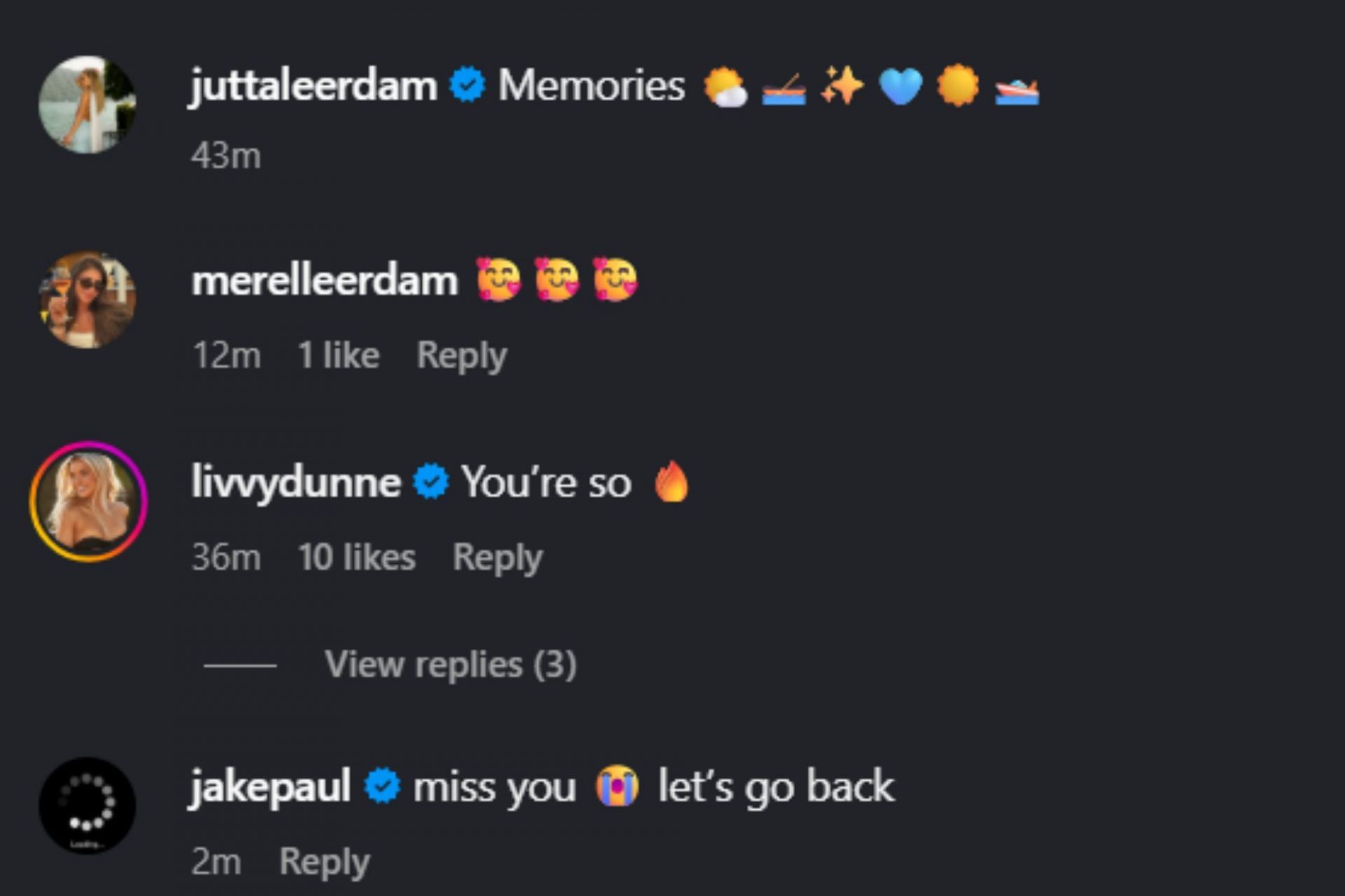 Screenshot of comments [Image Source: Instagram/juttaleerdam]