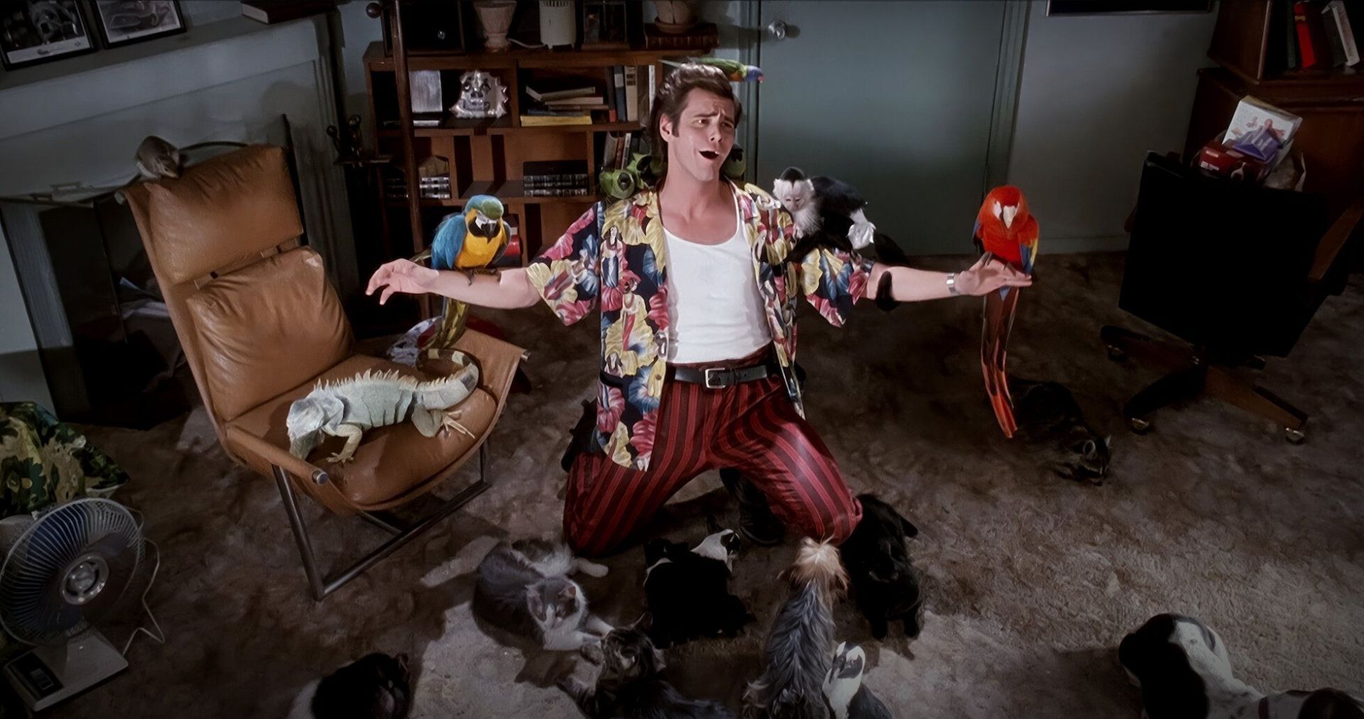 A still from Ace Ventura: Pet Detective (Image via Netflix)
