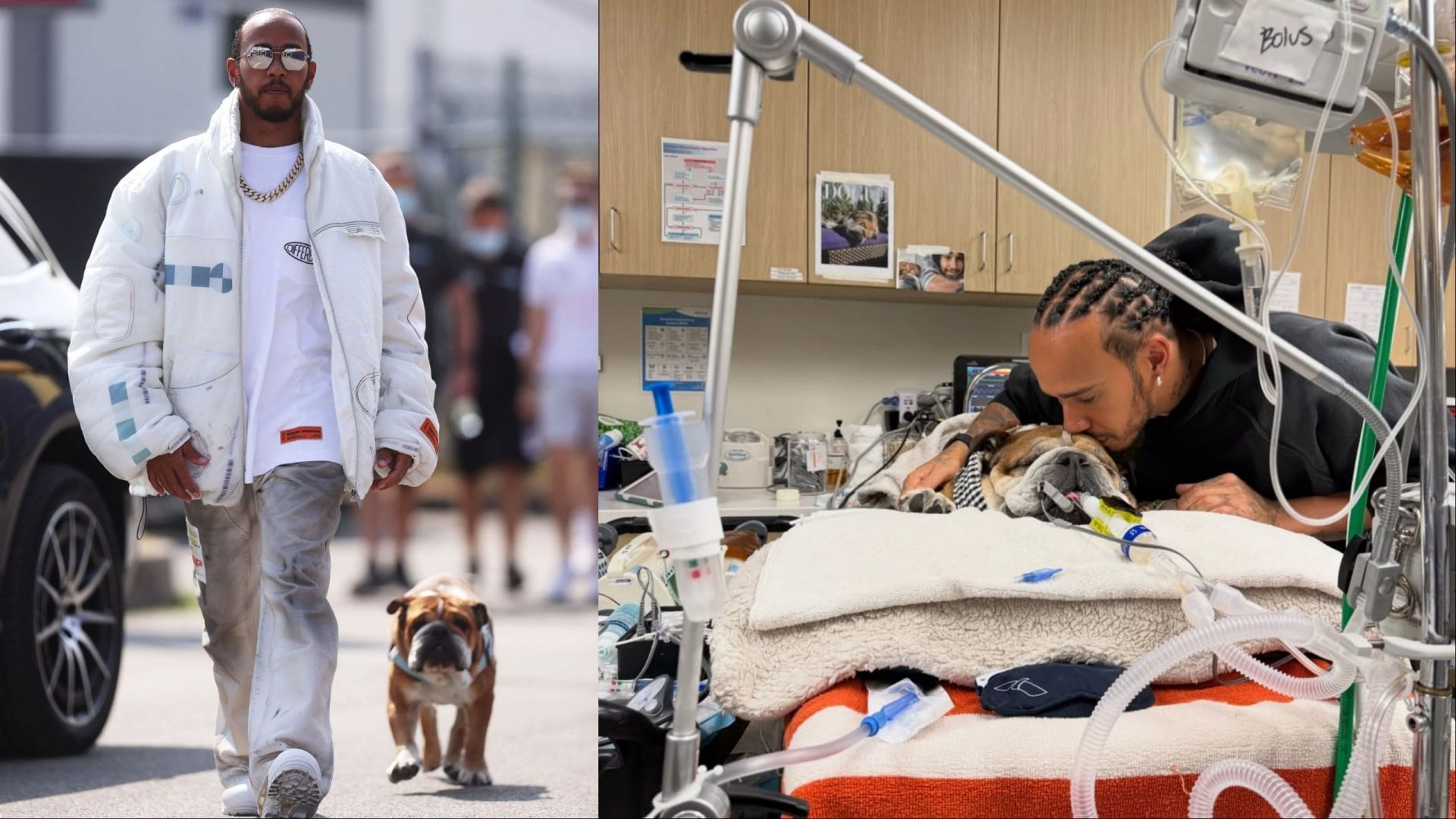 Image credits: L: Getty, Lewis Hamilton and Roscoe; R: Instagram/@Lewishamilton