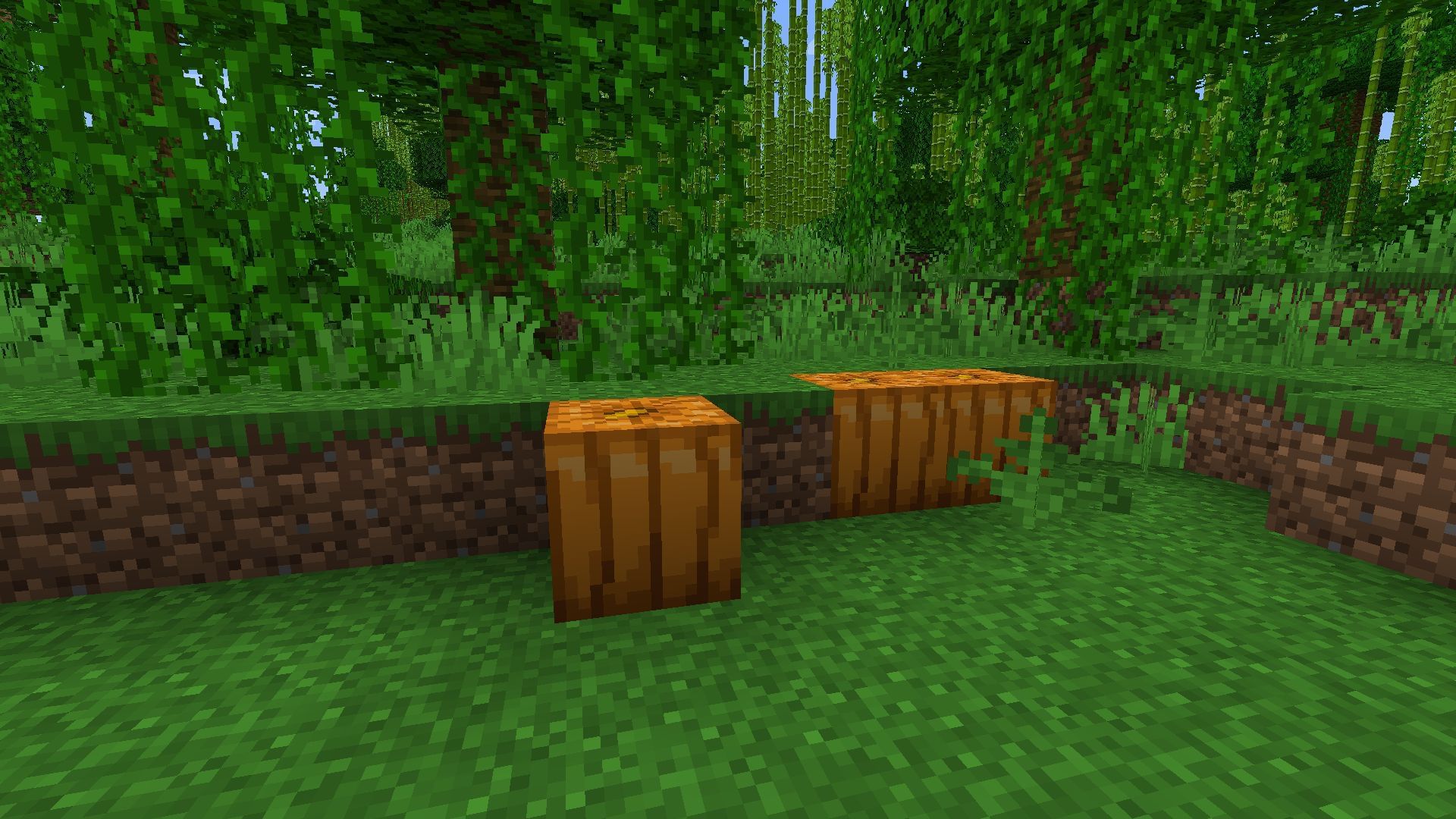 Collect pumpkins to easily craft copper golems once the Minecraft The Copper Age update arrives (Image via Sportskeeda Gaming || Mojang Studios)