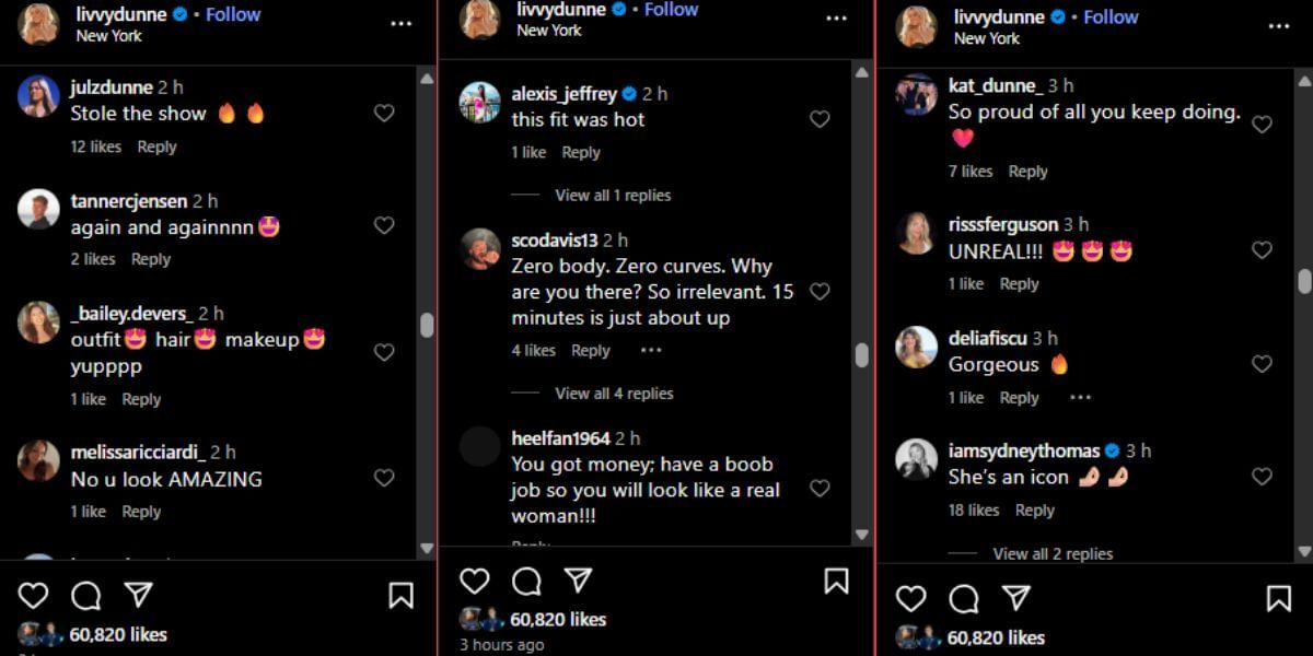 Screenshot of the Instagram post&#039;s comment section.