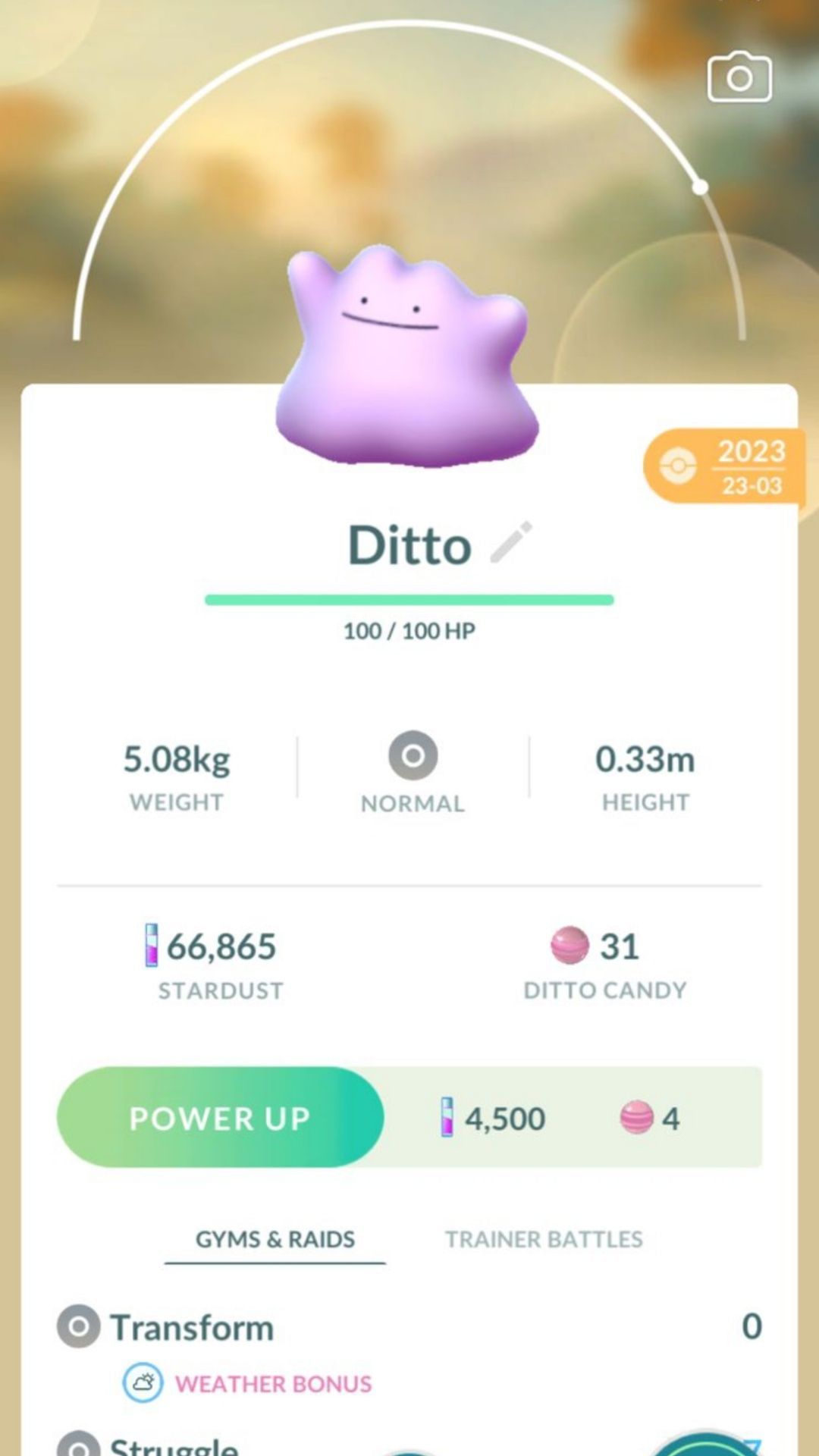 Ditto (Image via Niantic)