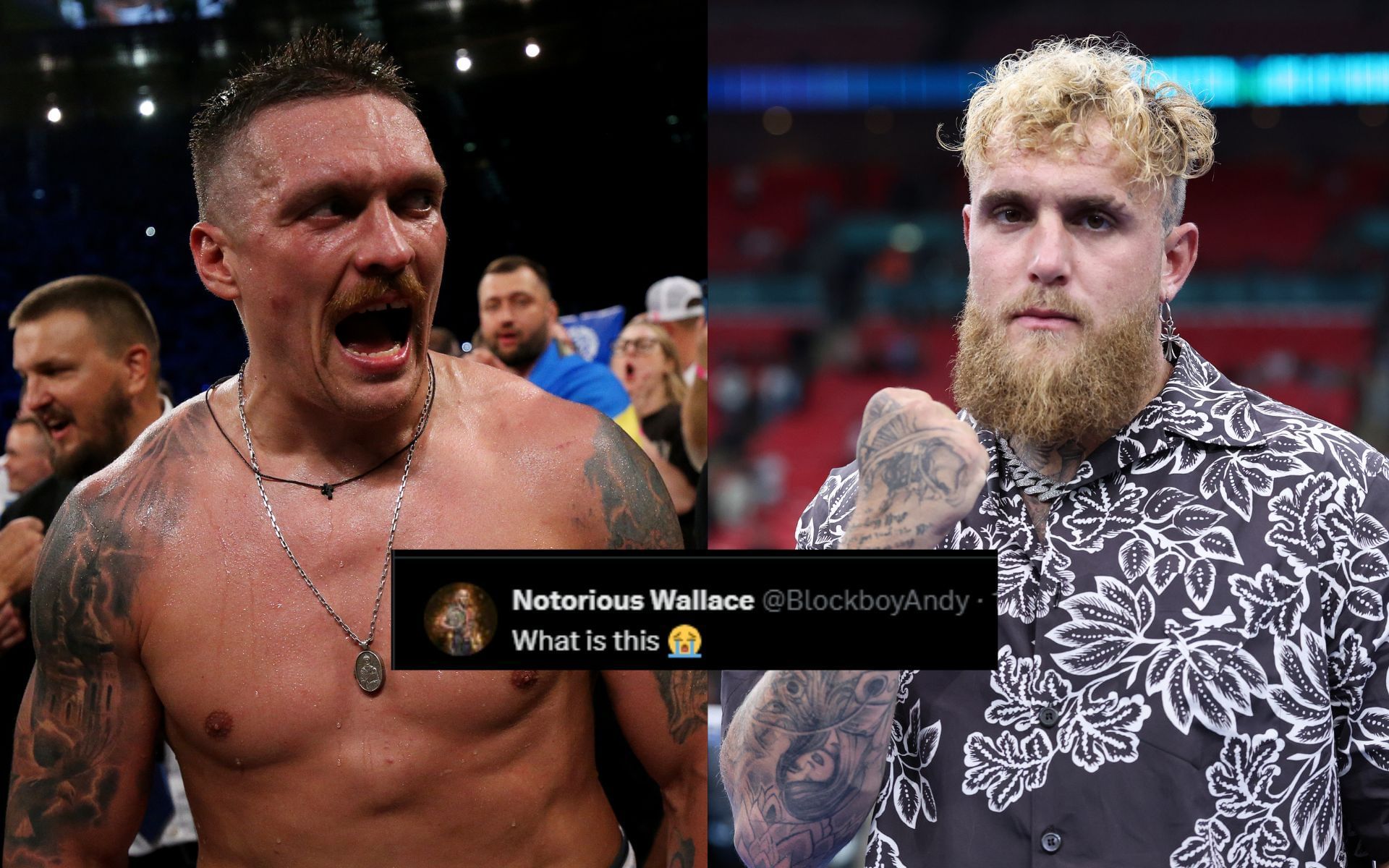 Fans react to Oleksandr Usyk (left) responding to Jake Paul
