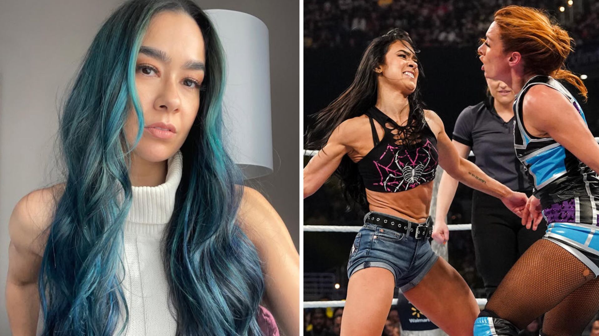 AJ Lee is a former WWE Divas Champion [Image credits: star