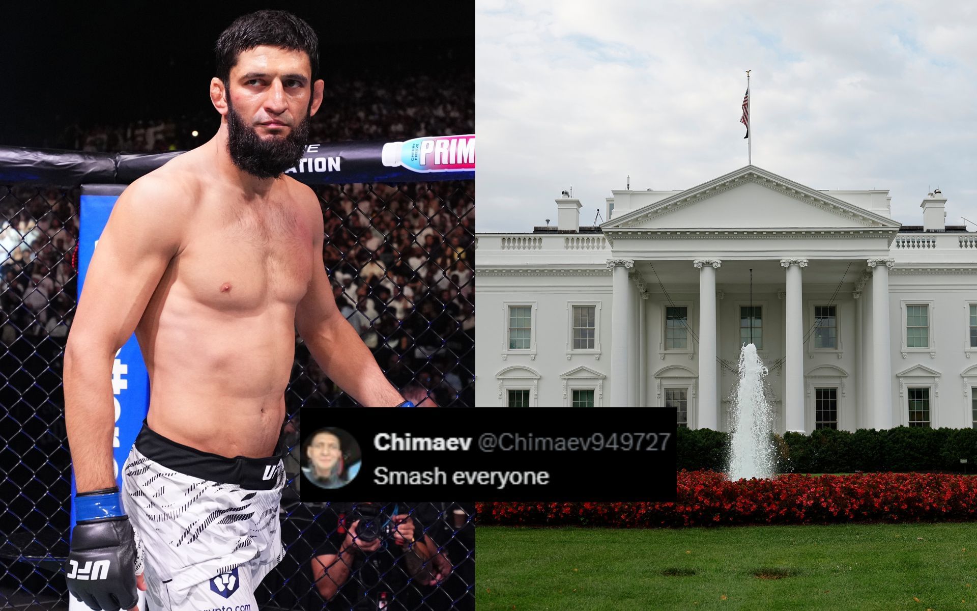 Fans react to Khamzat Chimaev