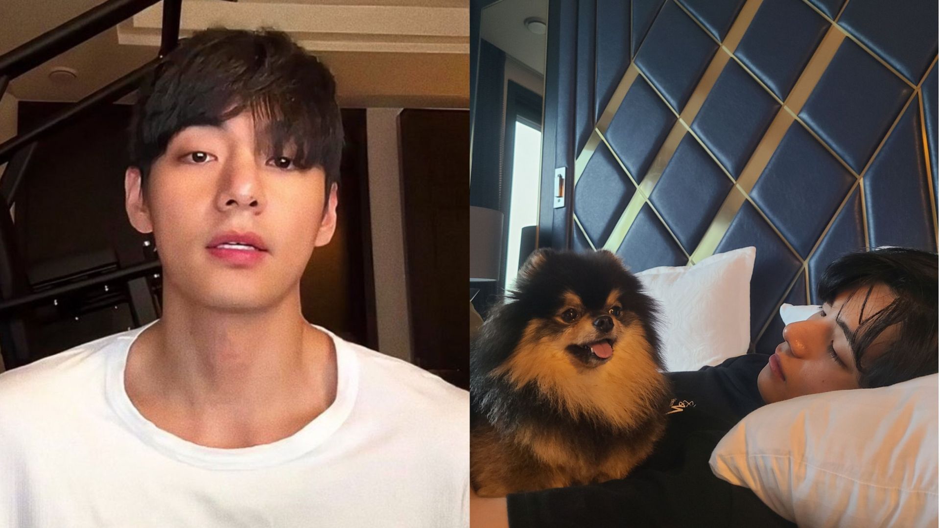 Fans request BTS