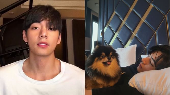 "So insensitive and selfish"- Fans divided over Weverse live request for BTS' Taehyung to sing on late pet Yeontan's birthday