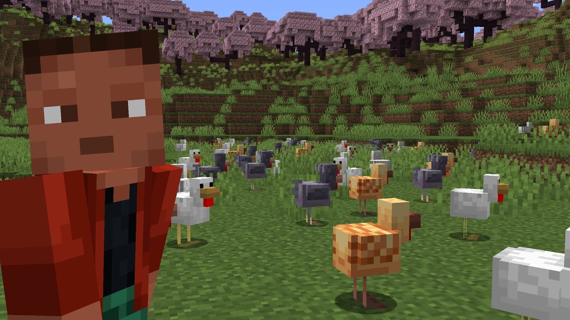 Chicken varieties (Image via Mojang)