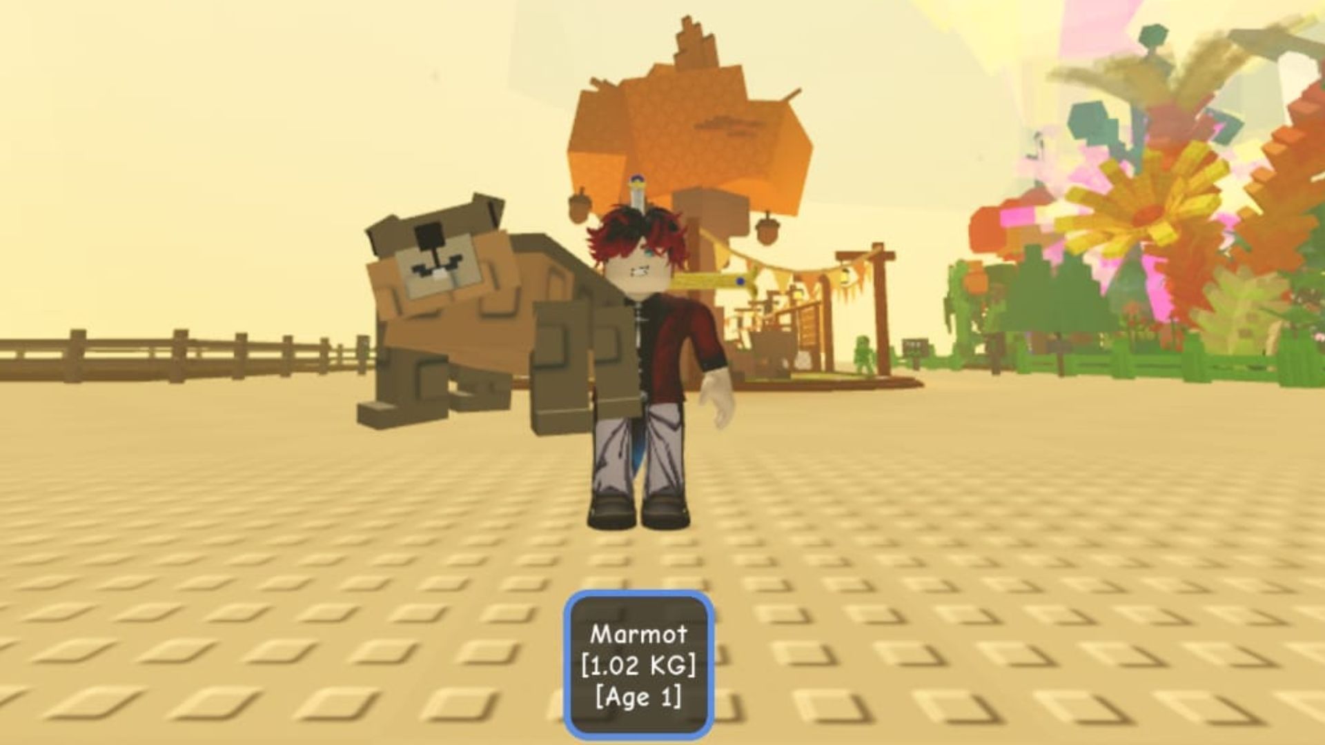 A Marmot in the game (Image via Roblox)