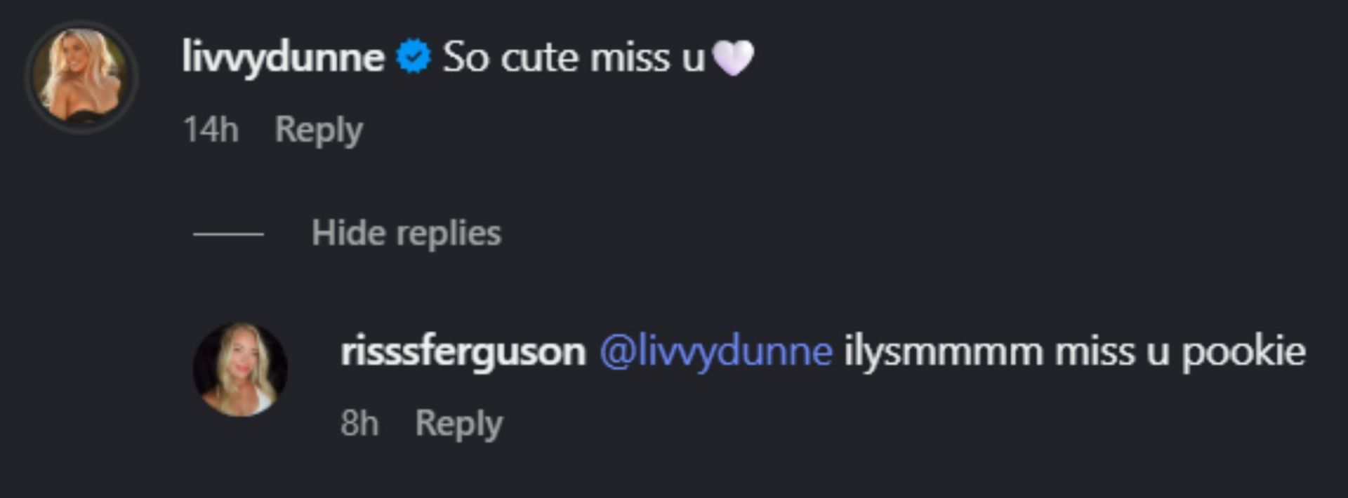 Screenshot of comments [Source: Instagram/risssferguson]