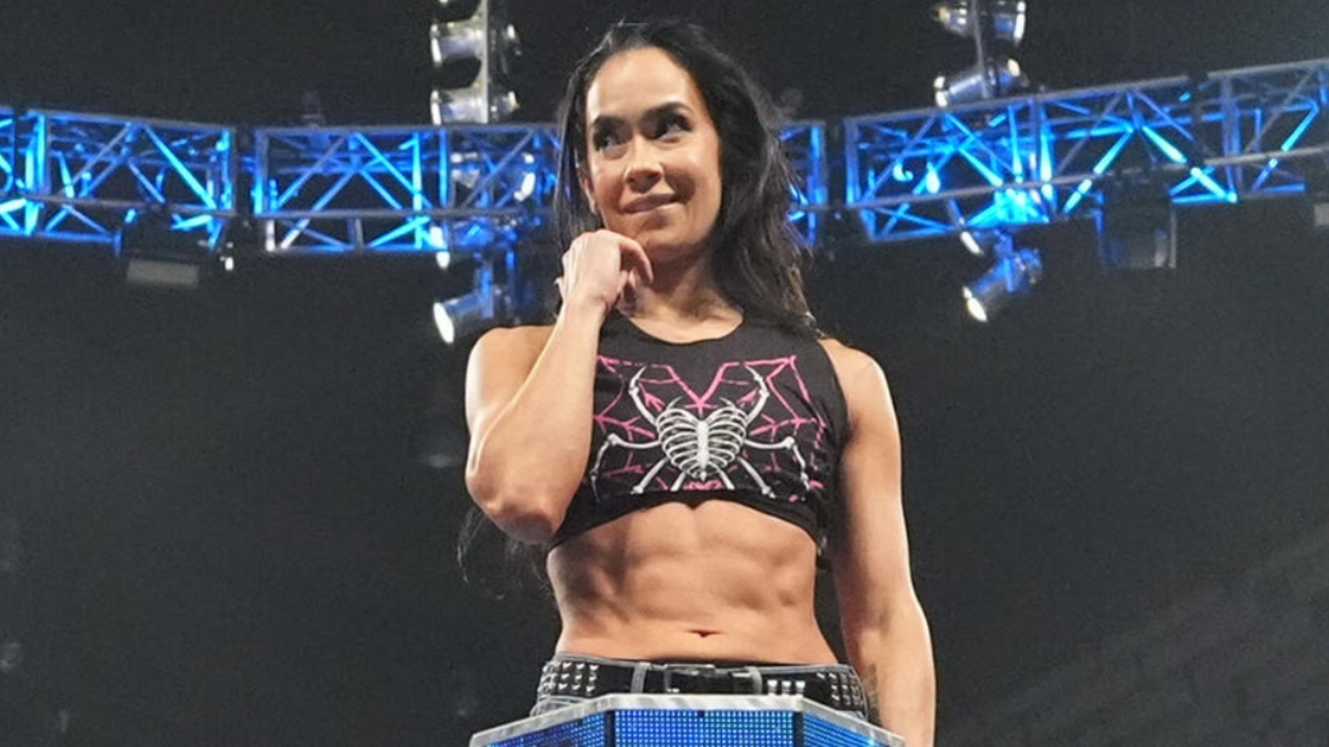 Former WWE Divas Champion AJ Lee [Image Credits: WWE