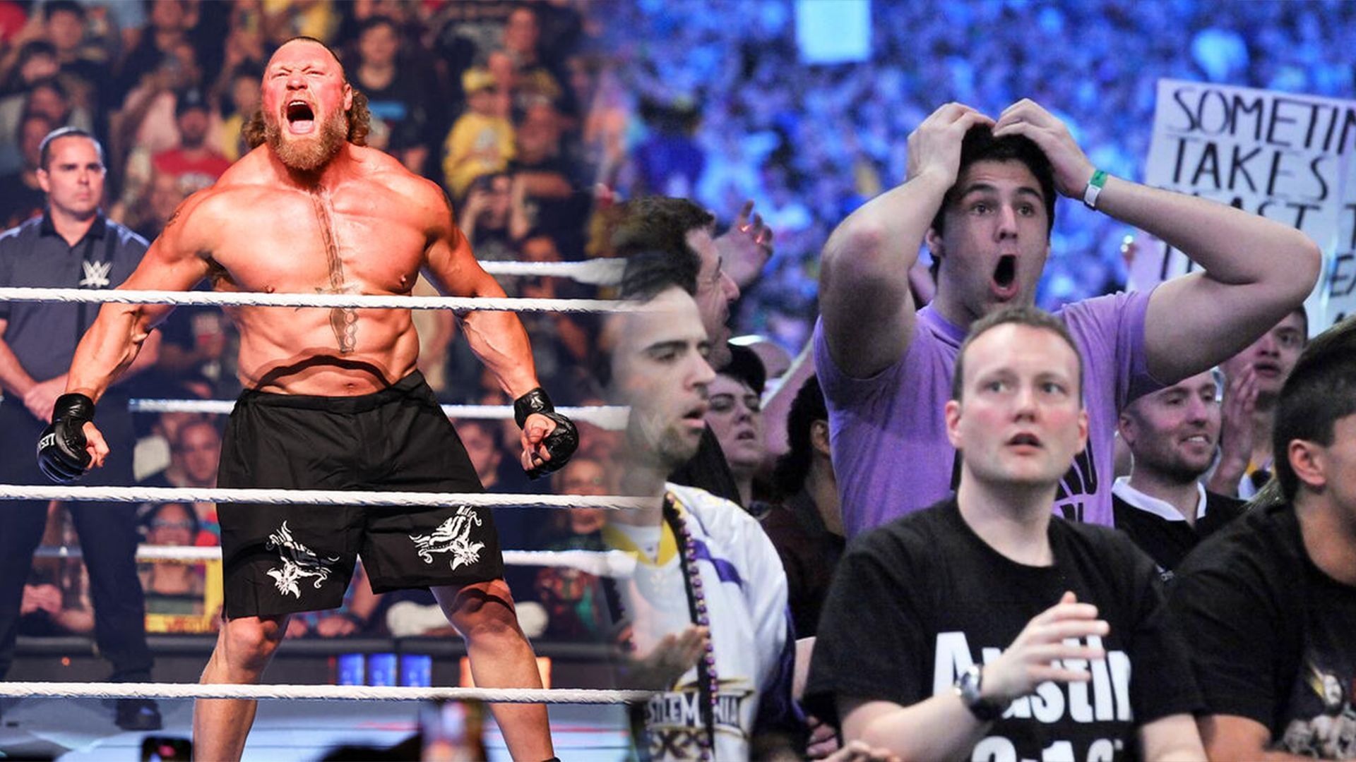 Brock Lesnar beat John Cena at Wrestlpalooza! (credit: WWE.Com)