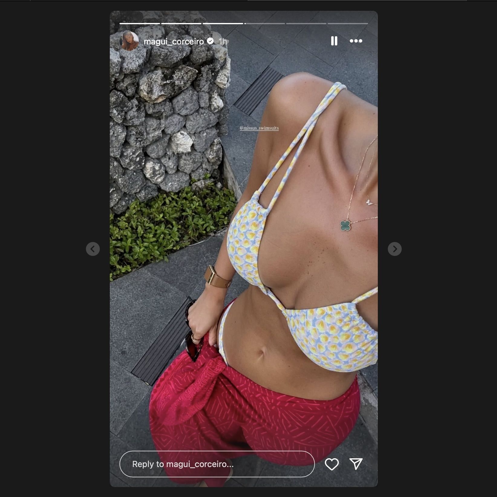 Screen grab from Margarida Corceiro&#039;s Instagram story [via Instagram/@magui_corceiro]