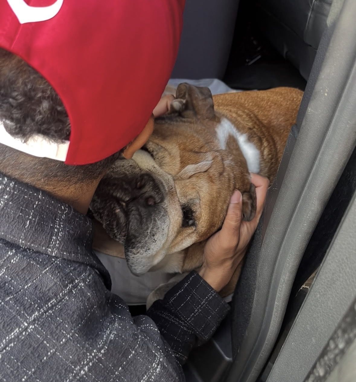 Nicolas Hamilton with Roscoe [Image via Instagram/@nicolashamilton]