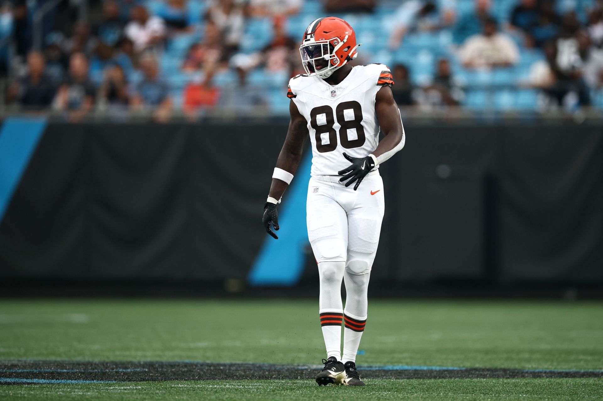 Waiver Wire TEs