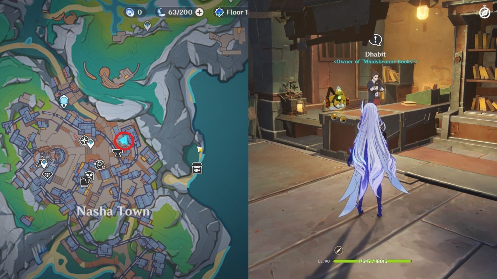 Location of Dhabit&#039;s Mimisbrunnr Books shop (Image via HoYoverse)