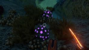 Where to find Gel Sacks in Subnautica