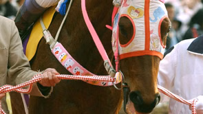 Which mobile game character was inspired by Haru Urara? Famous Japanese racehorse dies at 29