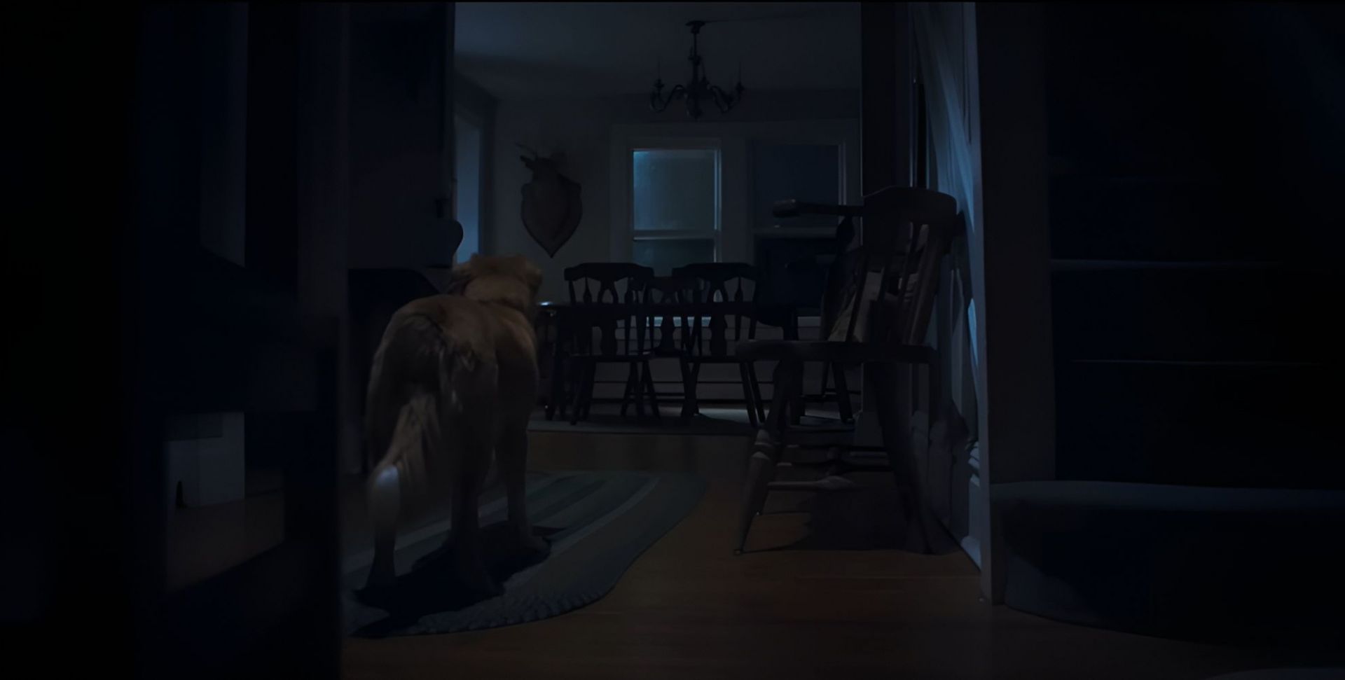 A still from Good Boy (Image via IFC Films)