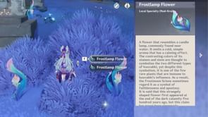 Genshin Impact Frostlamp Flower locations and farming guide