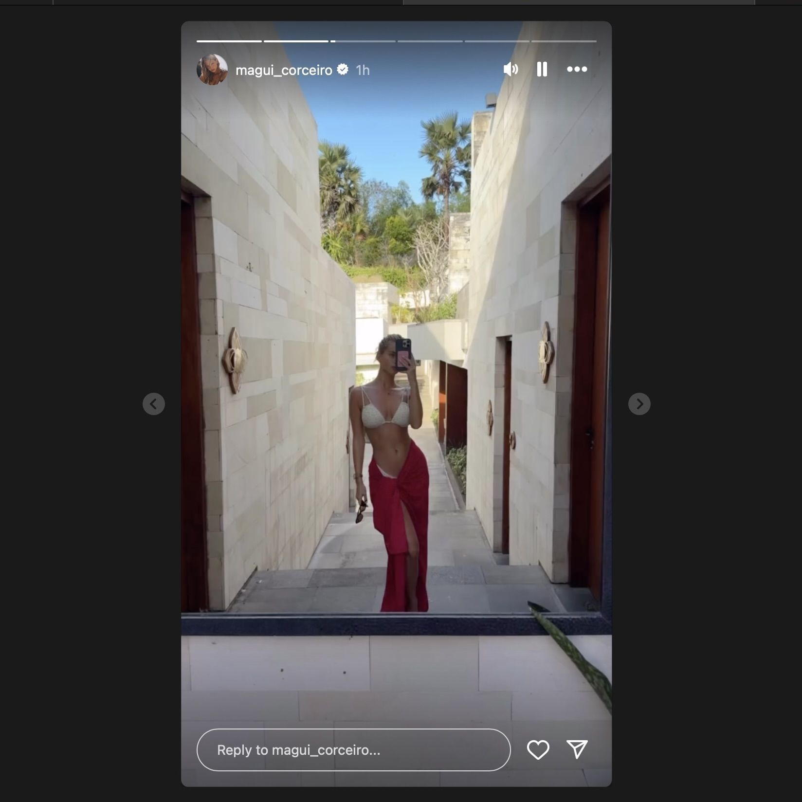 Screen grab from Margarida Corceiro&#039;s Instagram story [via Instagram/@magui_corceiro]