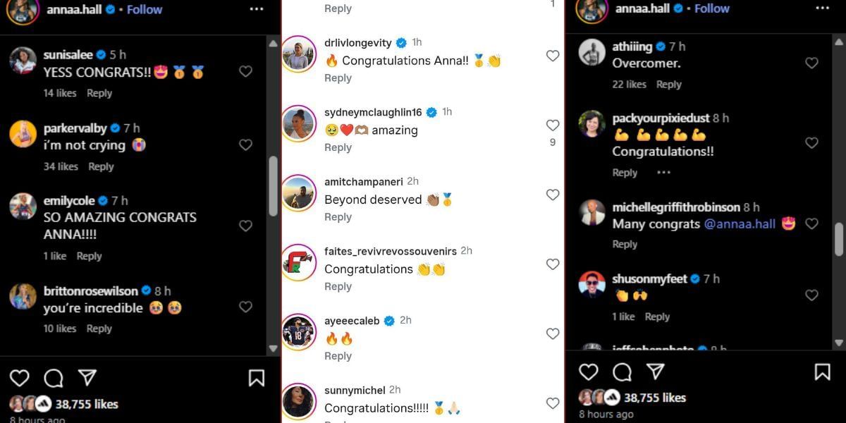 Screenshot of the Instagram post&#039;s comment section.
