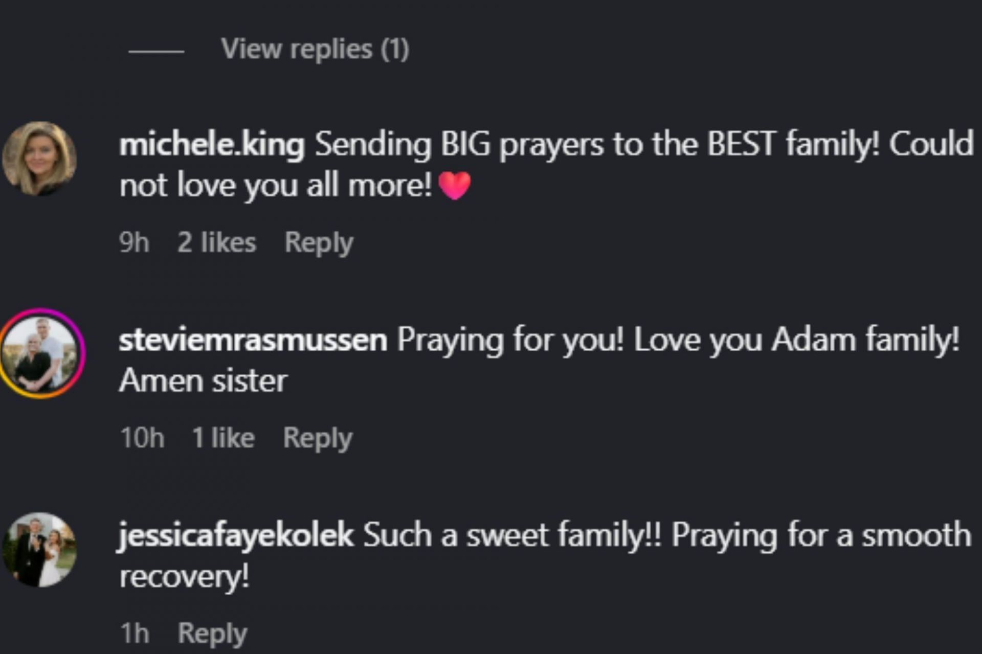 Screenshot of comments (Source: Instagram/thetravelingwife_)
