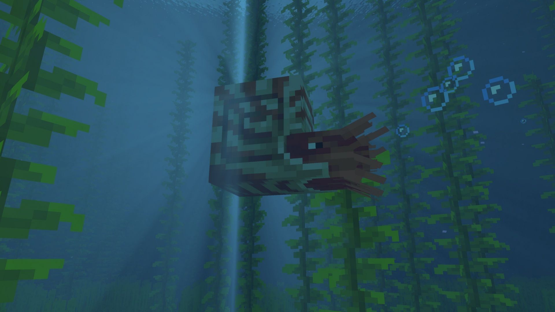 Nautilus chilling in seaweed (Image via Mojang)