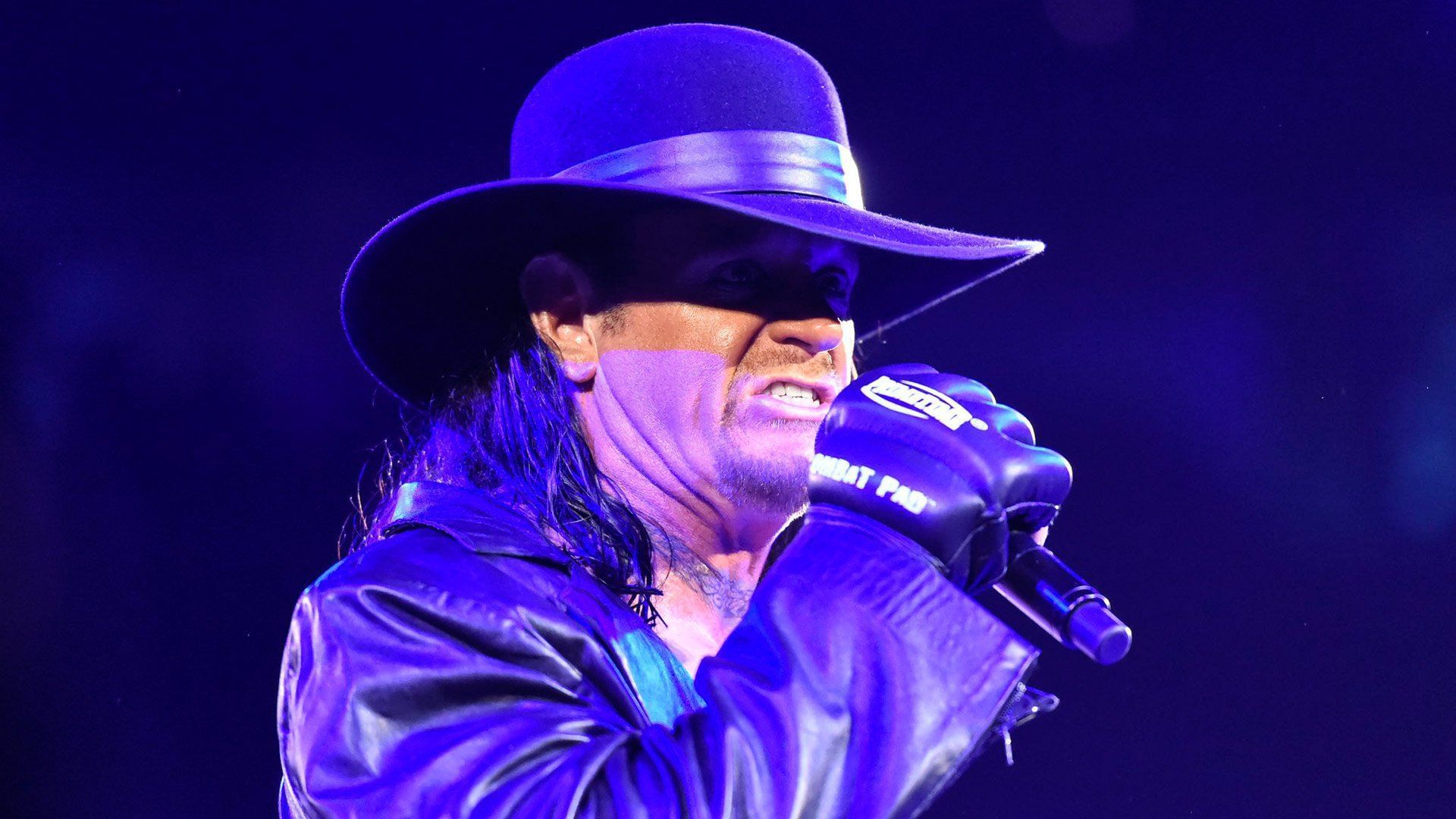 The Undertaker has spoken (Credit: WWE.com)