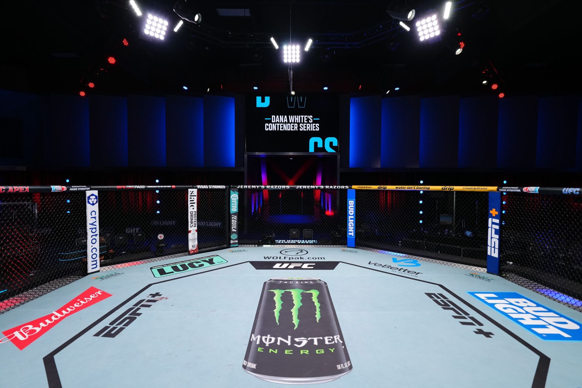 Dana White