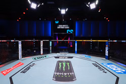 UFC Paris fight canceled just hours from event as fighter misses weight during weigh-ins
