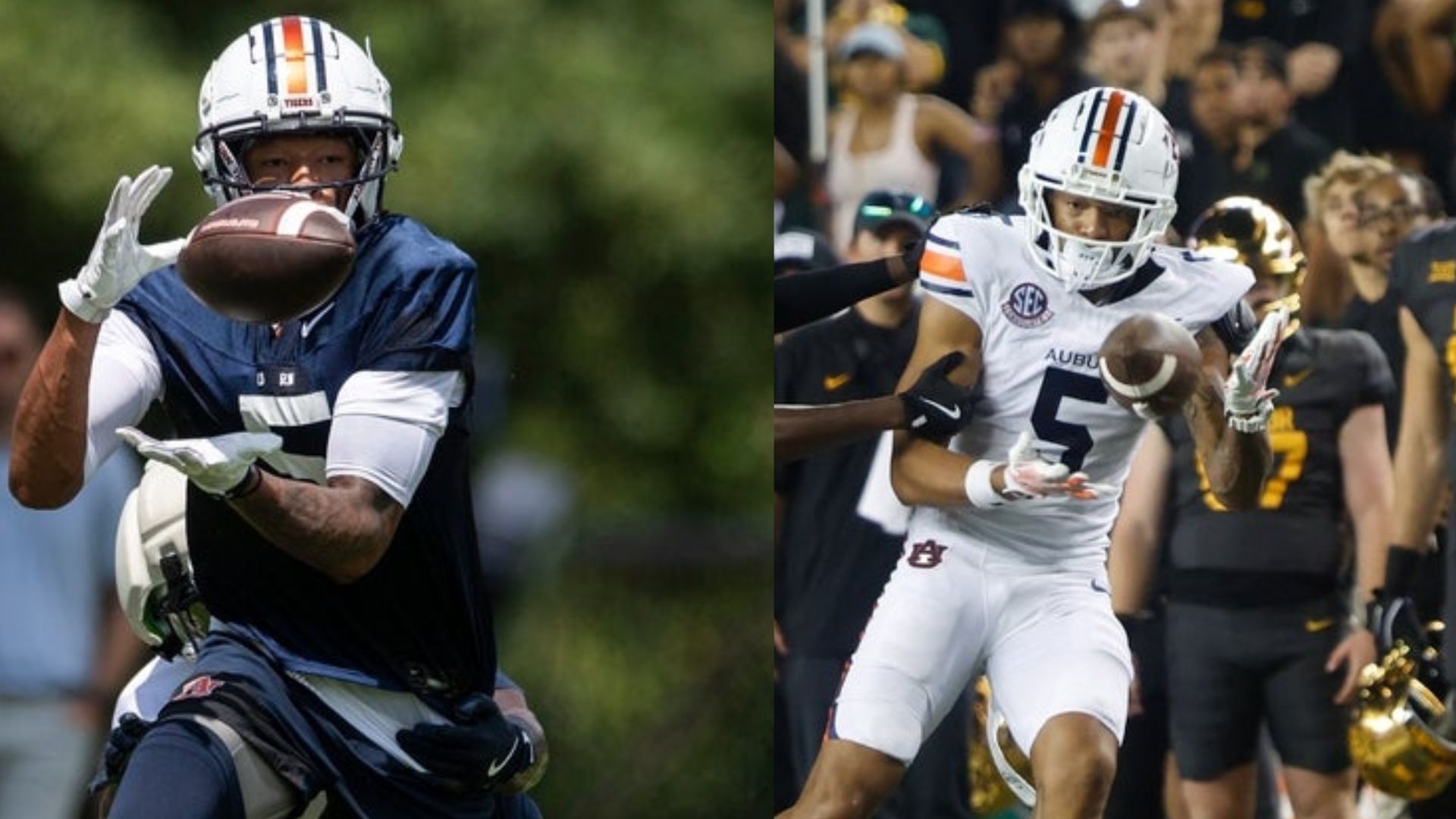 Auburn Tigers WR Horatio Fields
