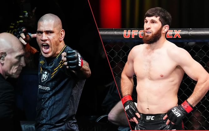 Alex Pereira deems Magomed Ankalaev "a coward" during UFC PI confrontation: "They are the ones who are always talking"