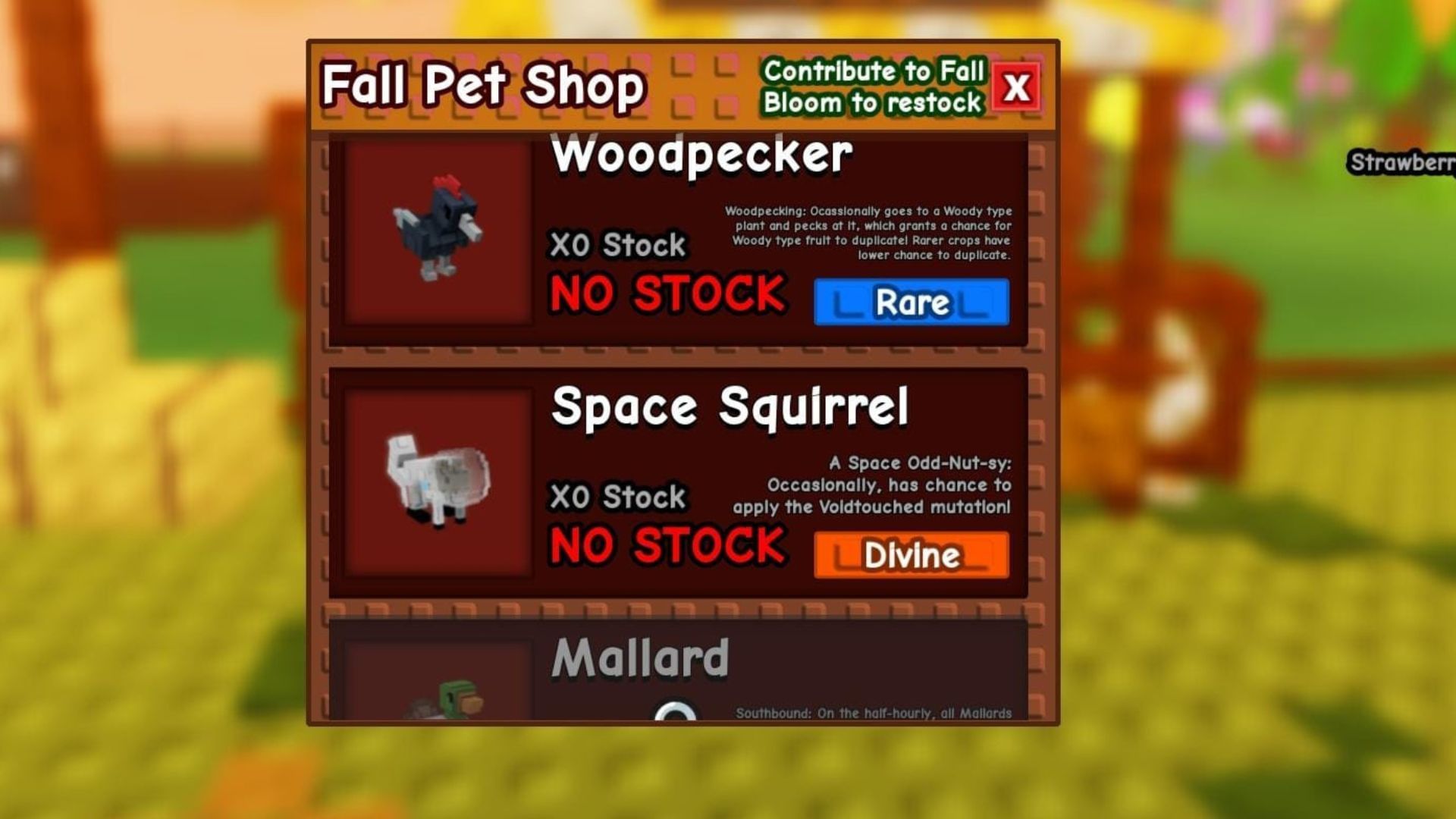 Space Squirrel in the Fall Festival Pets shop (Image via Roblox)