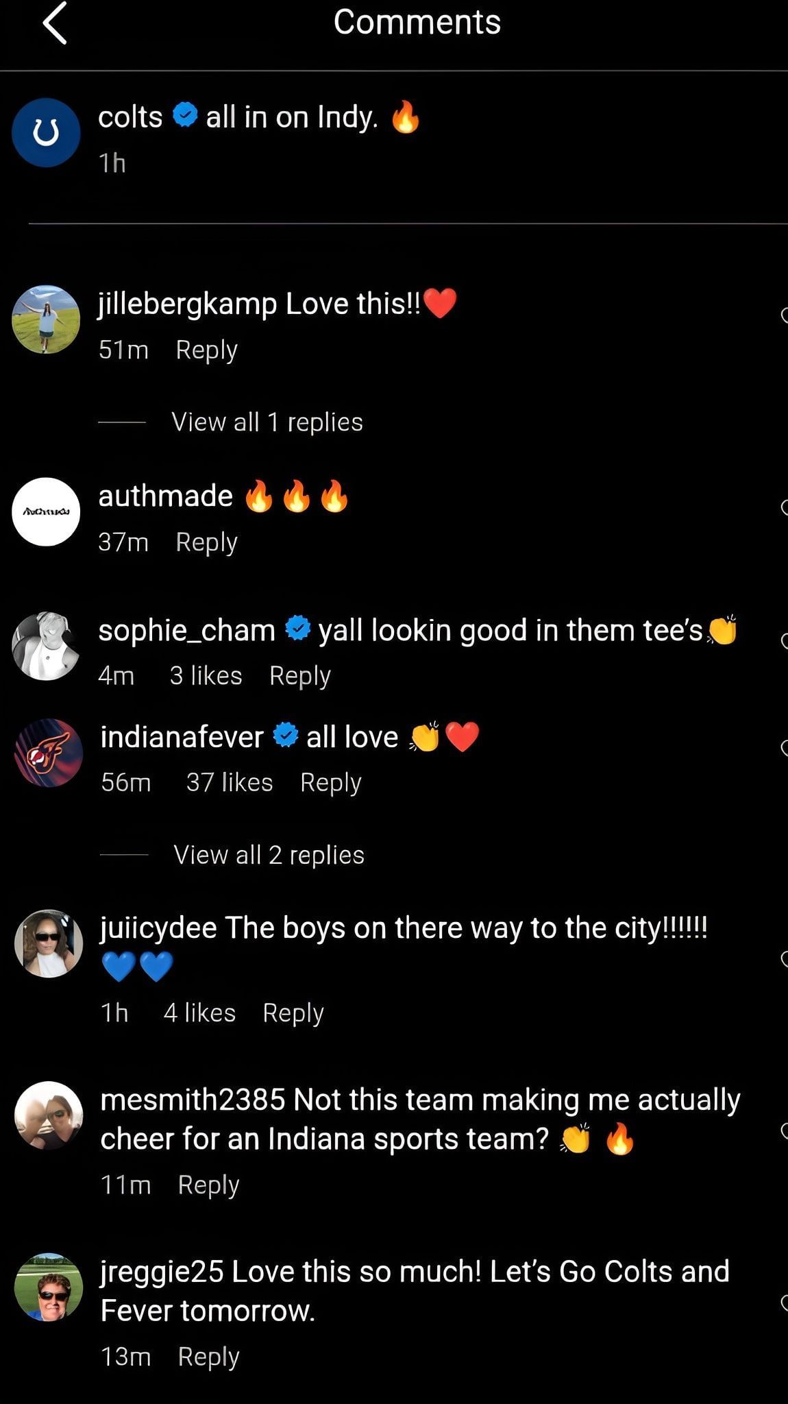 Comments on the post