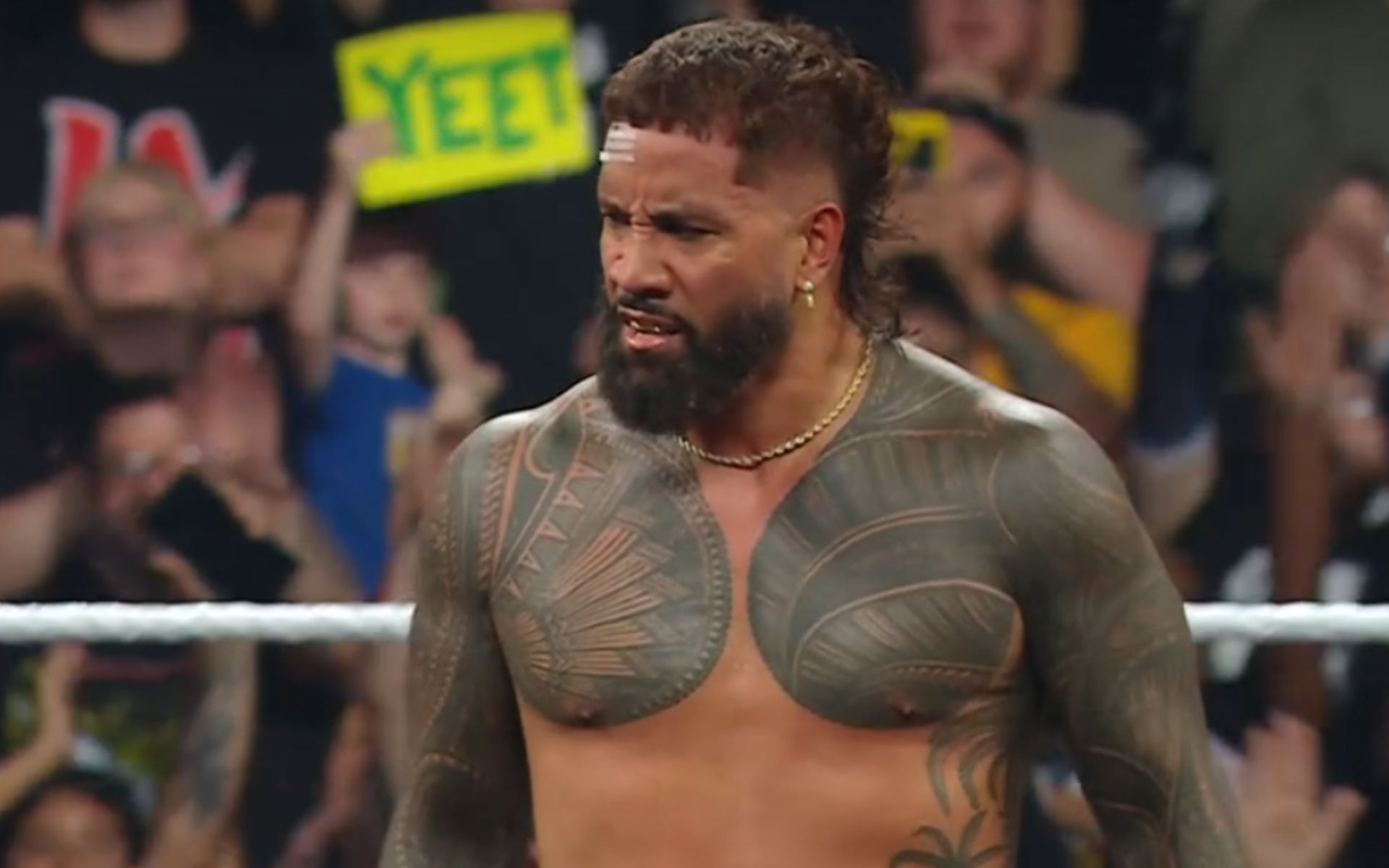 (Picture Courtesy: WWE on Netflix)