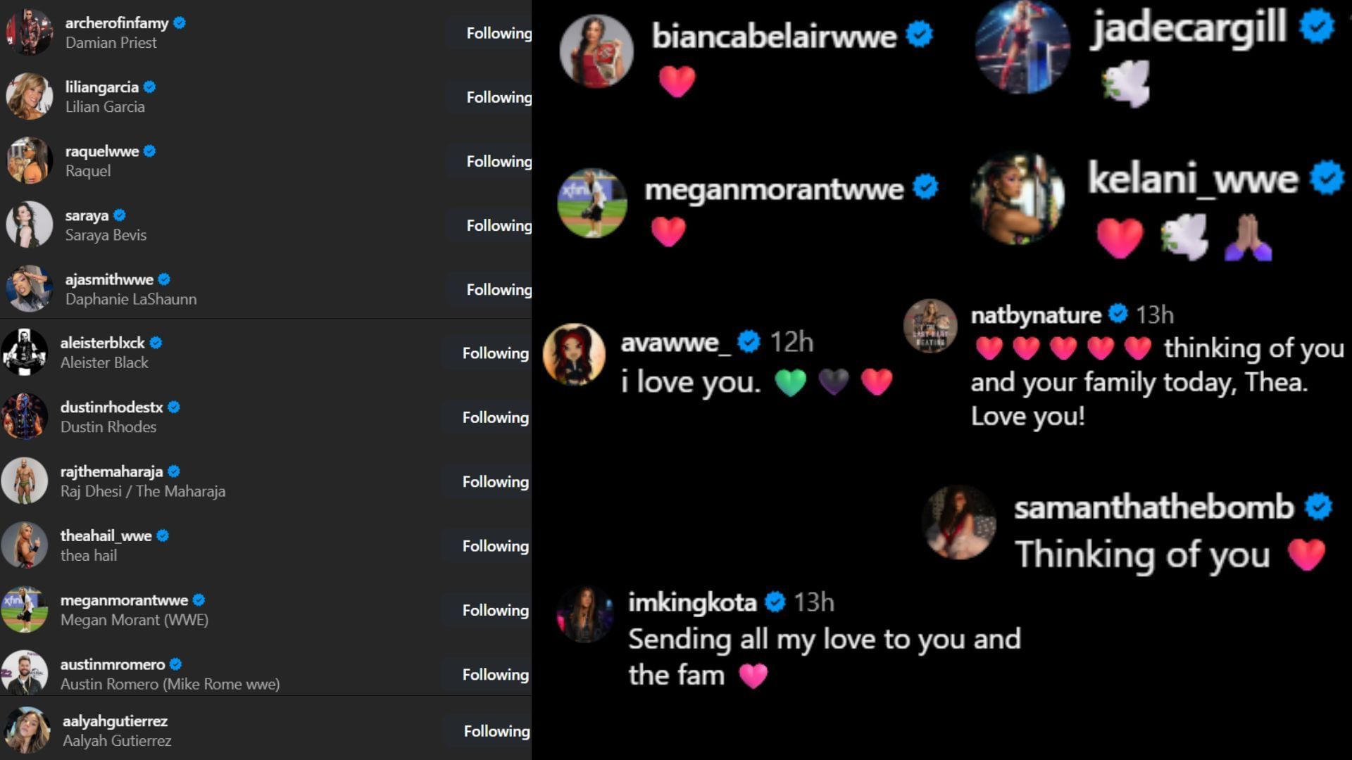 Screenshots of stars&#039; likes and comments. [Image credit: Zelina Vega&#039;s Instagram]