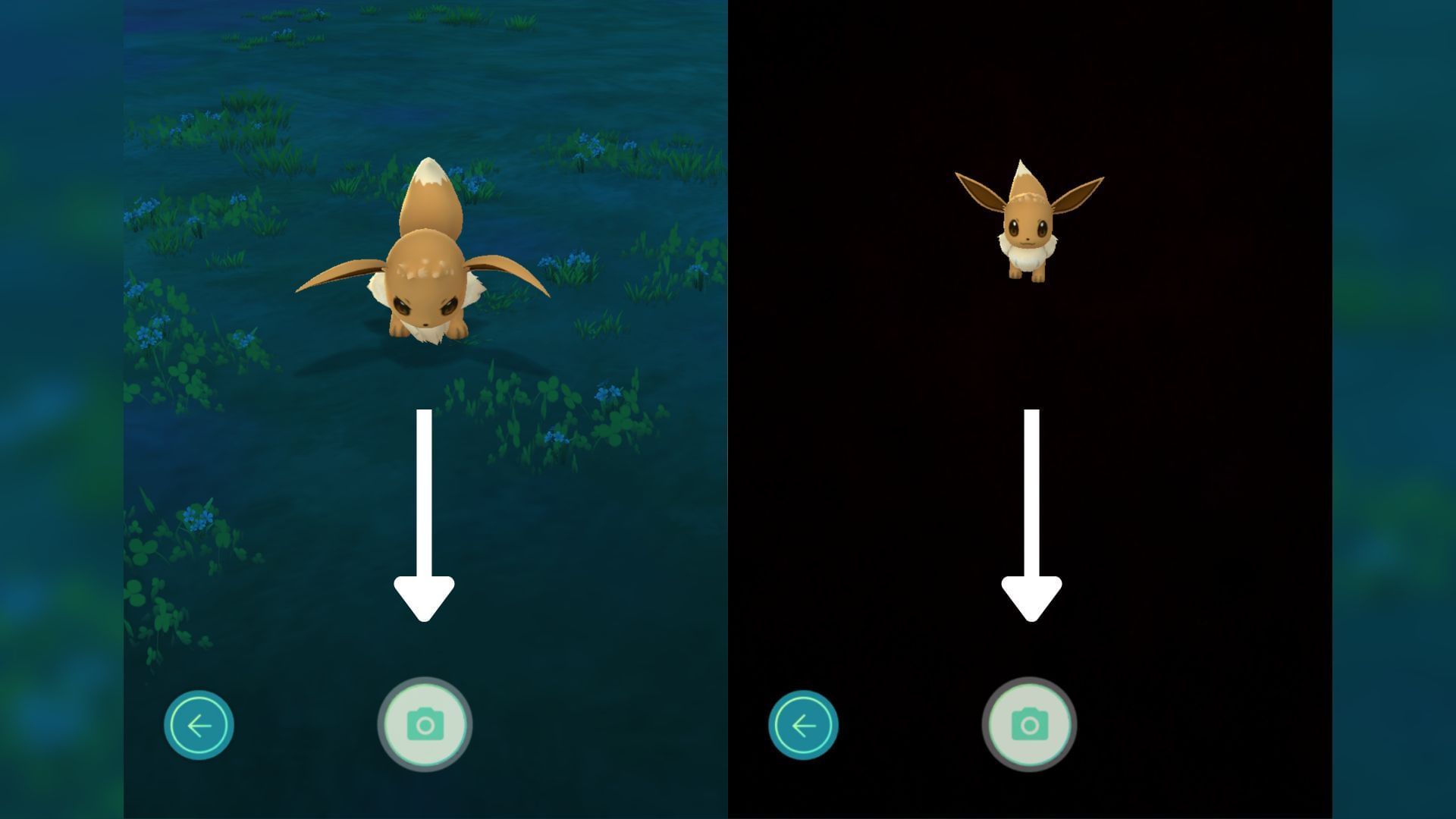 Hit the capture button to have it saved in your gallery (Image via The Pokemon Company)