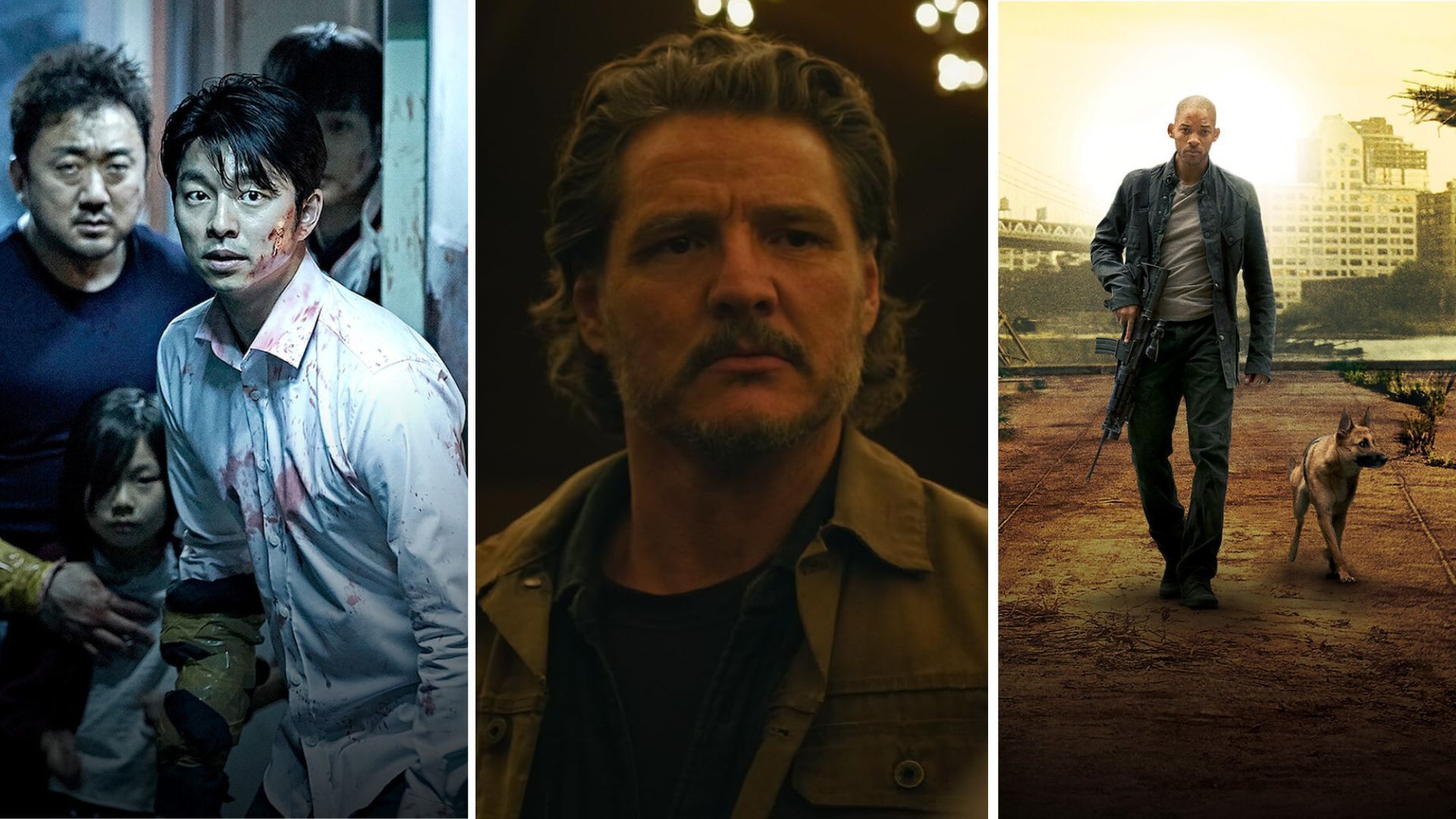 Train to Busan, Last of Us, I Am Legend
