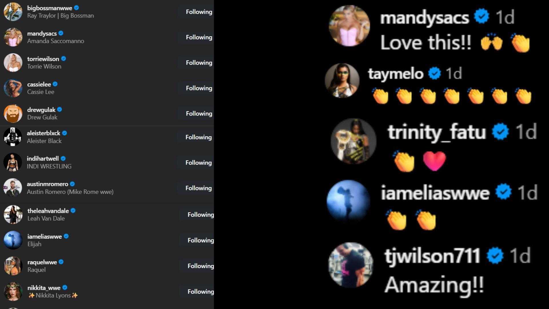 Screenshots of stars&#039; reactions. [Image credit: Lacey Evans&#039; Instagram]