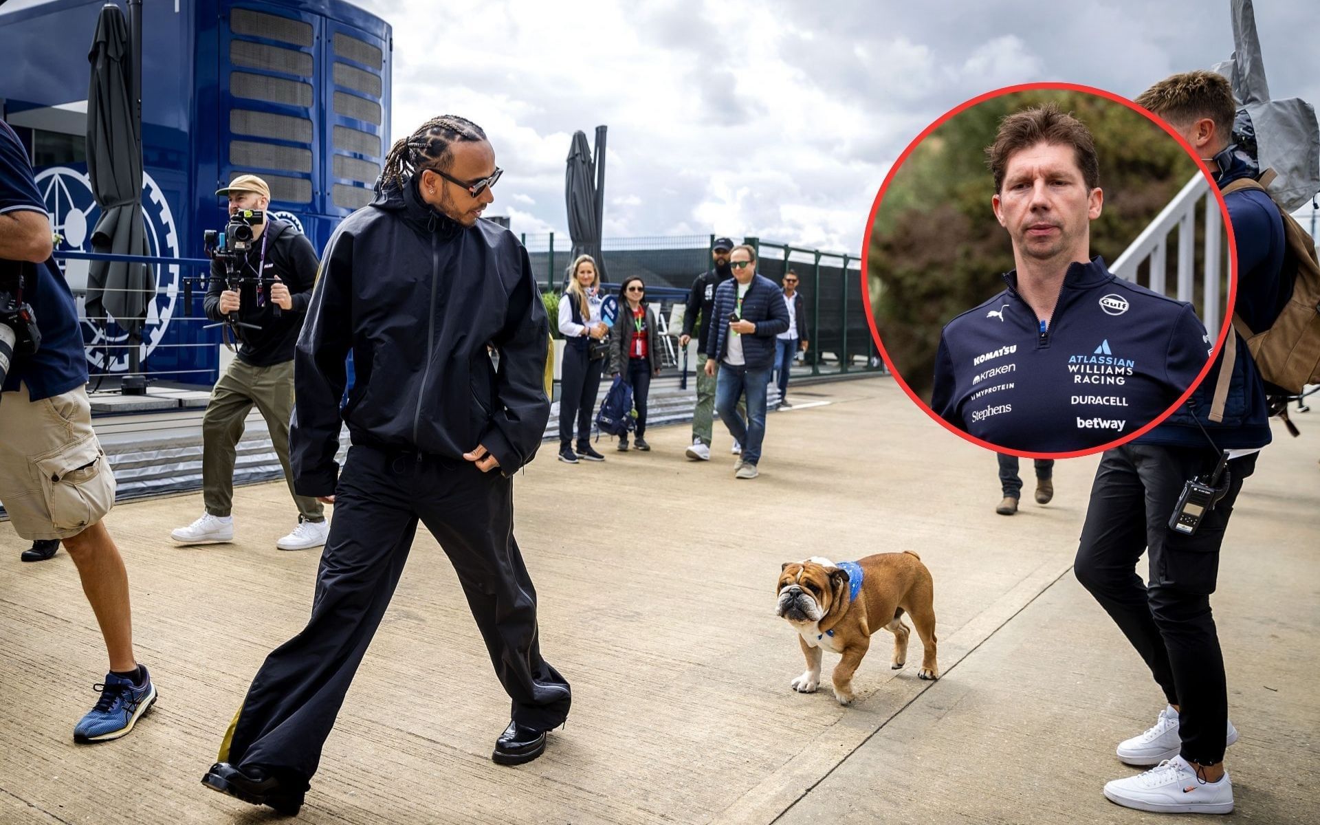 Lewis Hamilton, Roscoe, and Williams