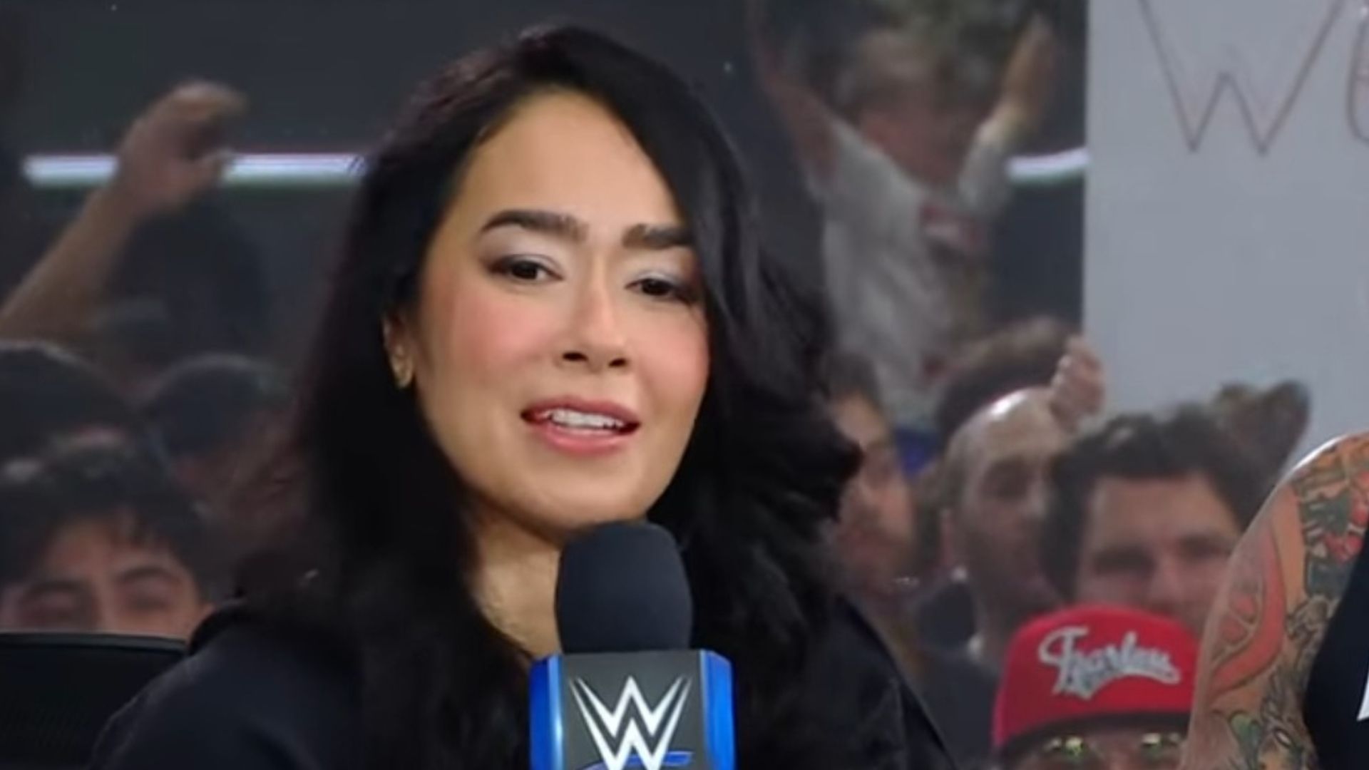 Former Divas Champion AJ Lee (Image via WWE