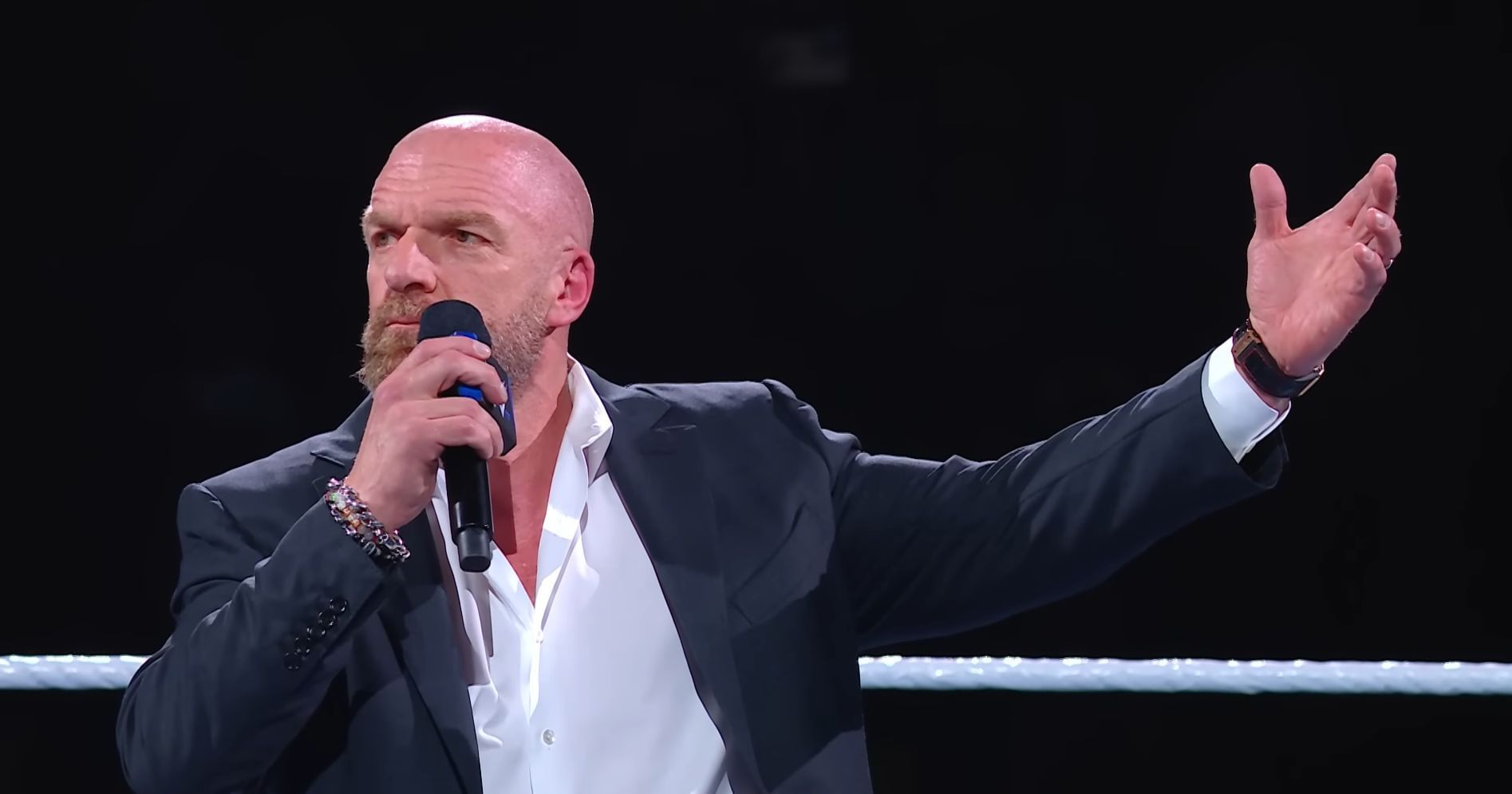 Triple H at Wrestlepalooza (via WWE