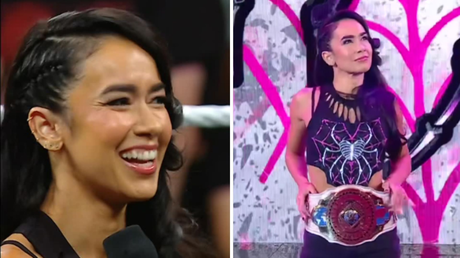 AJ Lee is CM Punk