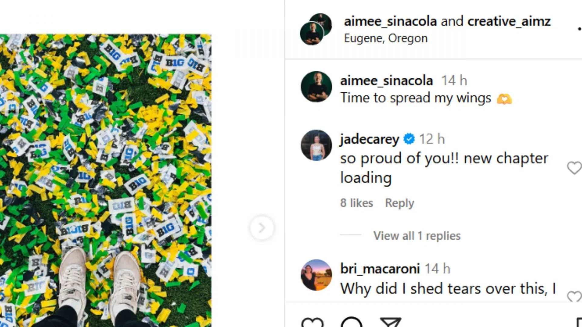 Screenshot of comment (Image via aimee_sinacola)
