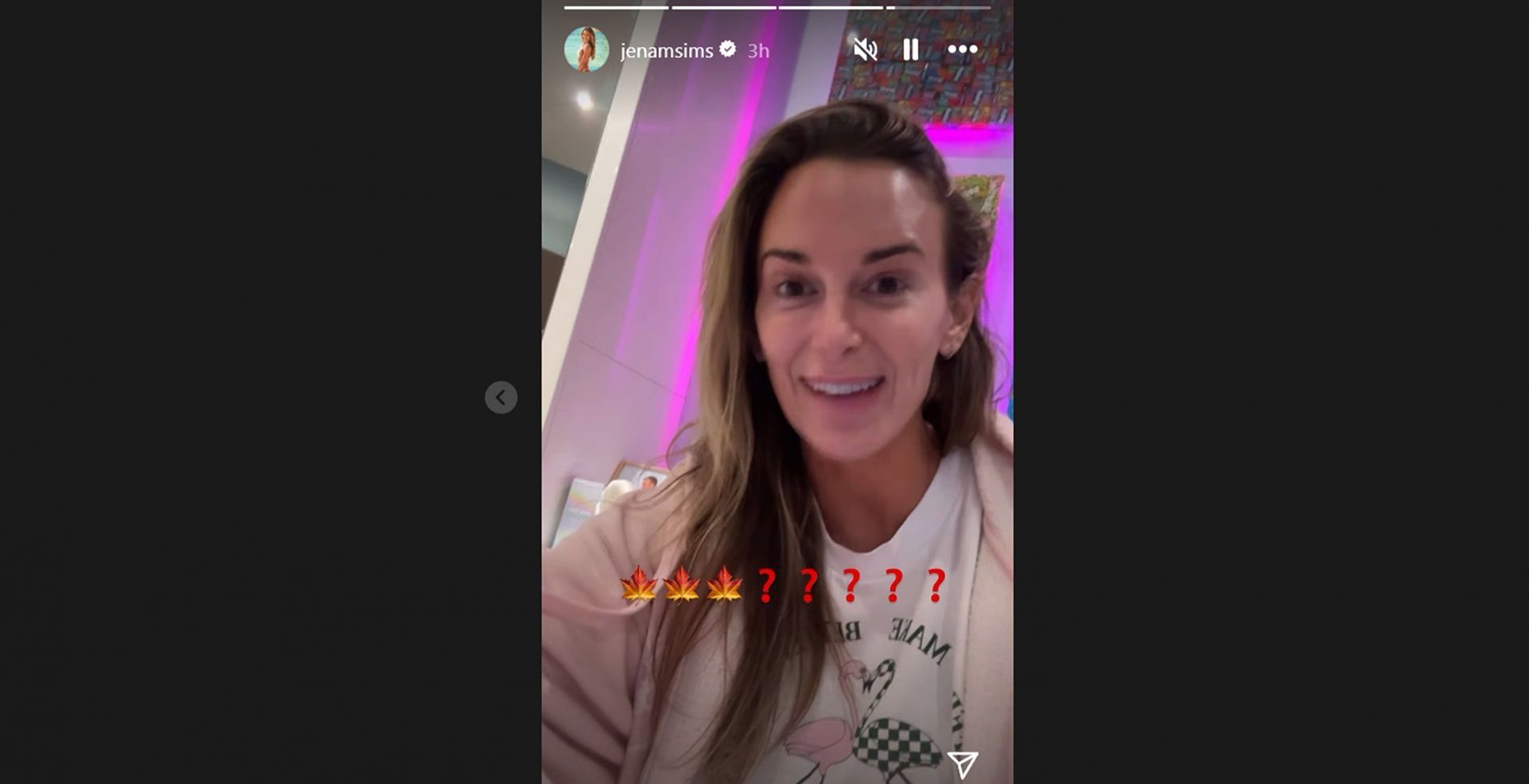 Jena Sims Instagram story (Image via Instagram/@jenamsims)