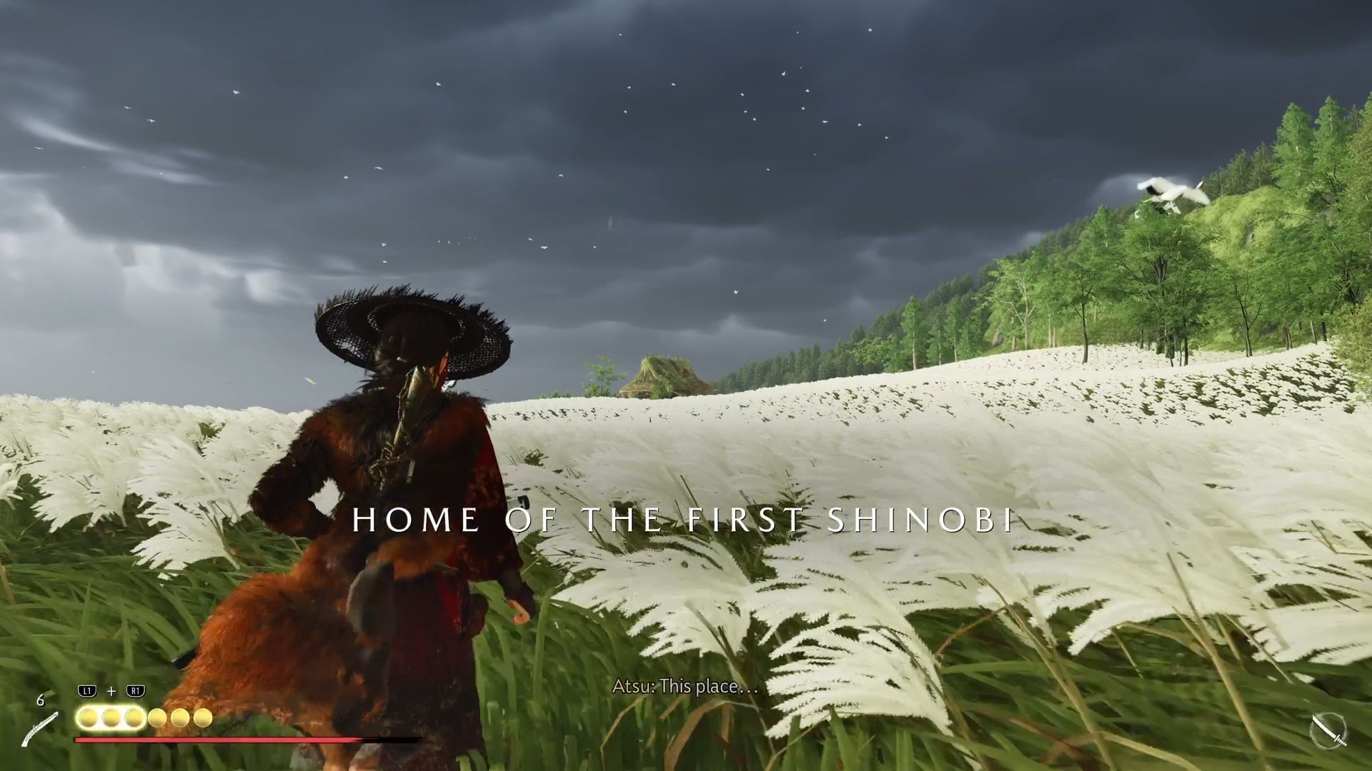 Home of the First Shinobi (Image via SK Gaming / Sucker Punch)