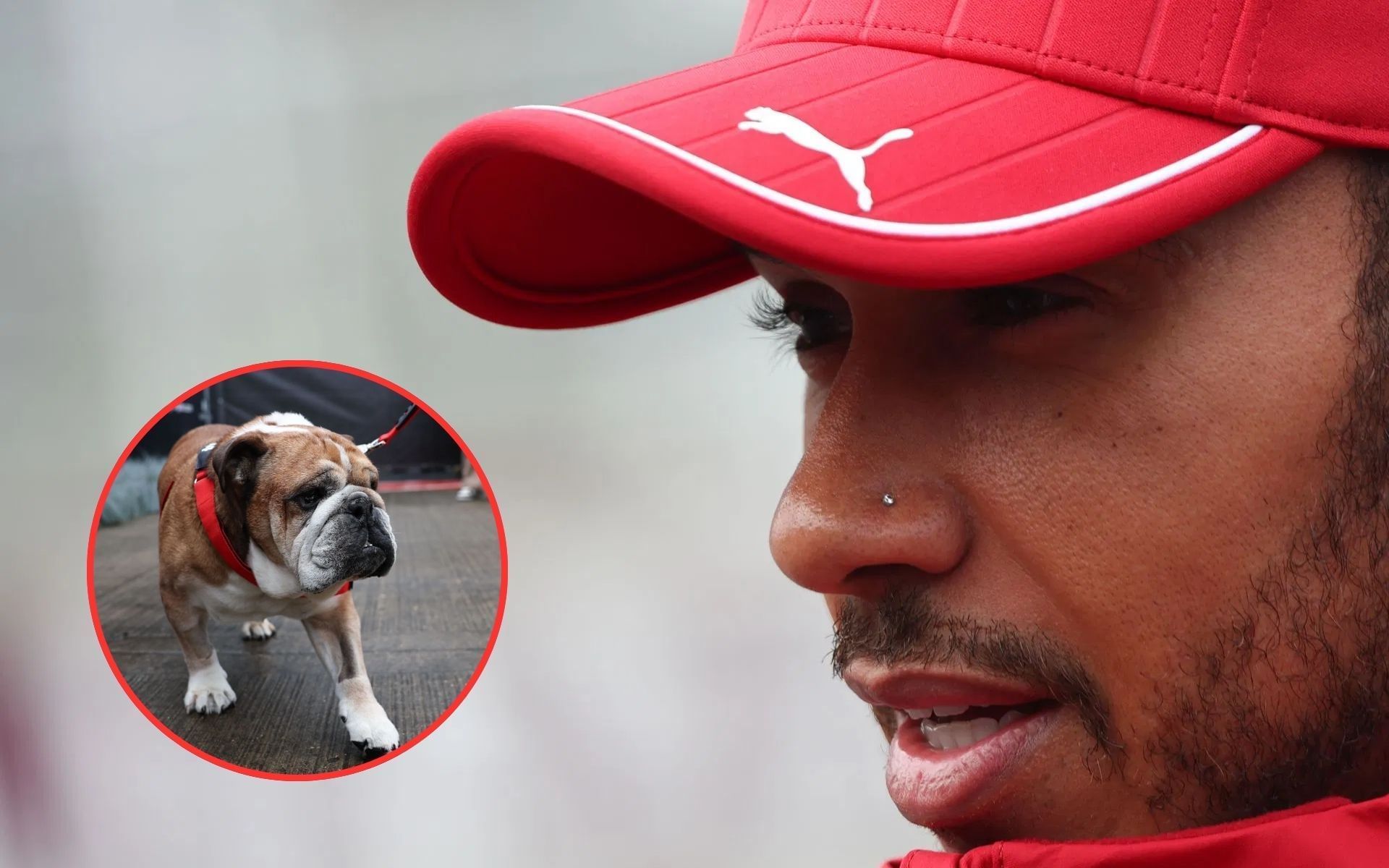 Roscoe and Lewis Hamilton