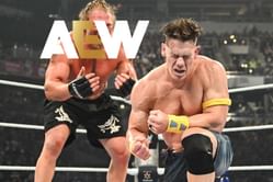 Former AEW star sends a message after John Cena gets buried at WWE Wrestlepalooza