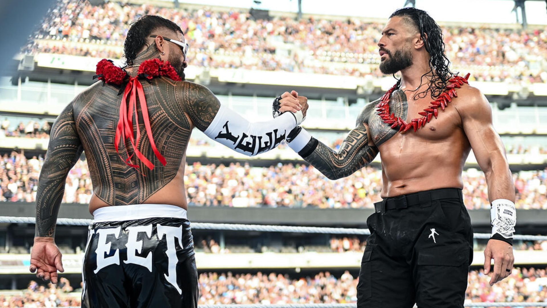 Jey Uso and Roman Reigns at WWE SummerSlam 2025! [Image credit: WWE.com]